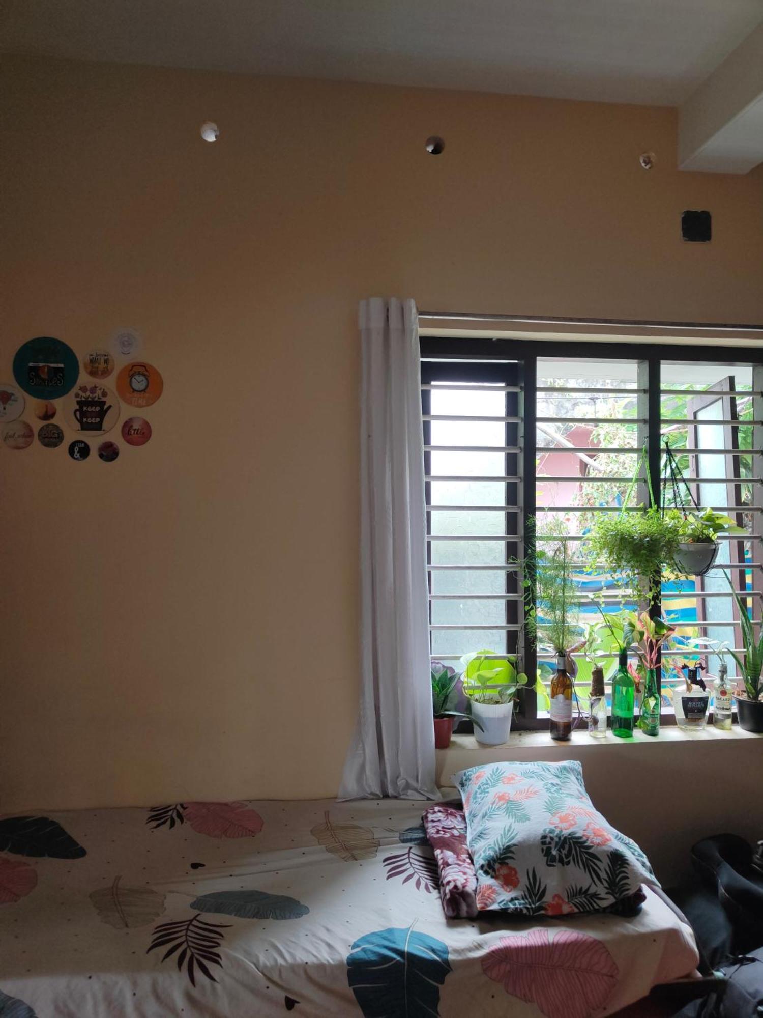 Jeehaa Homestay アーラップーザ県 エクステリア 写真