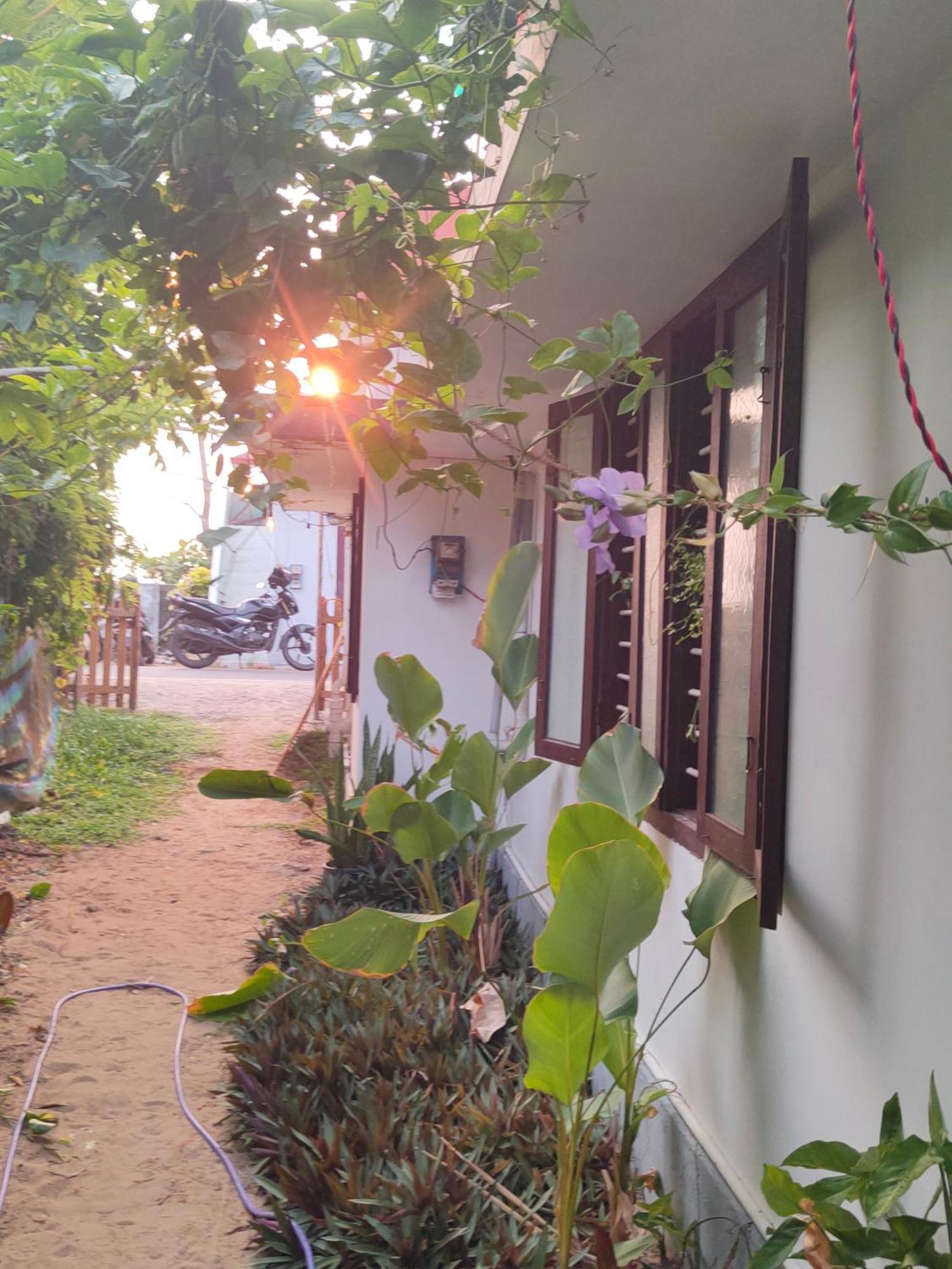 Jeehaa Homestay アーラップーザ県 エクステリア 写真