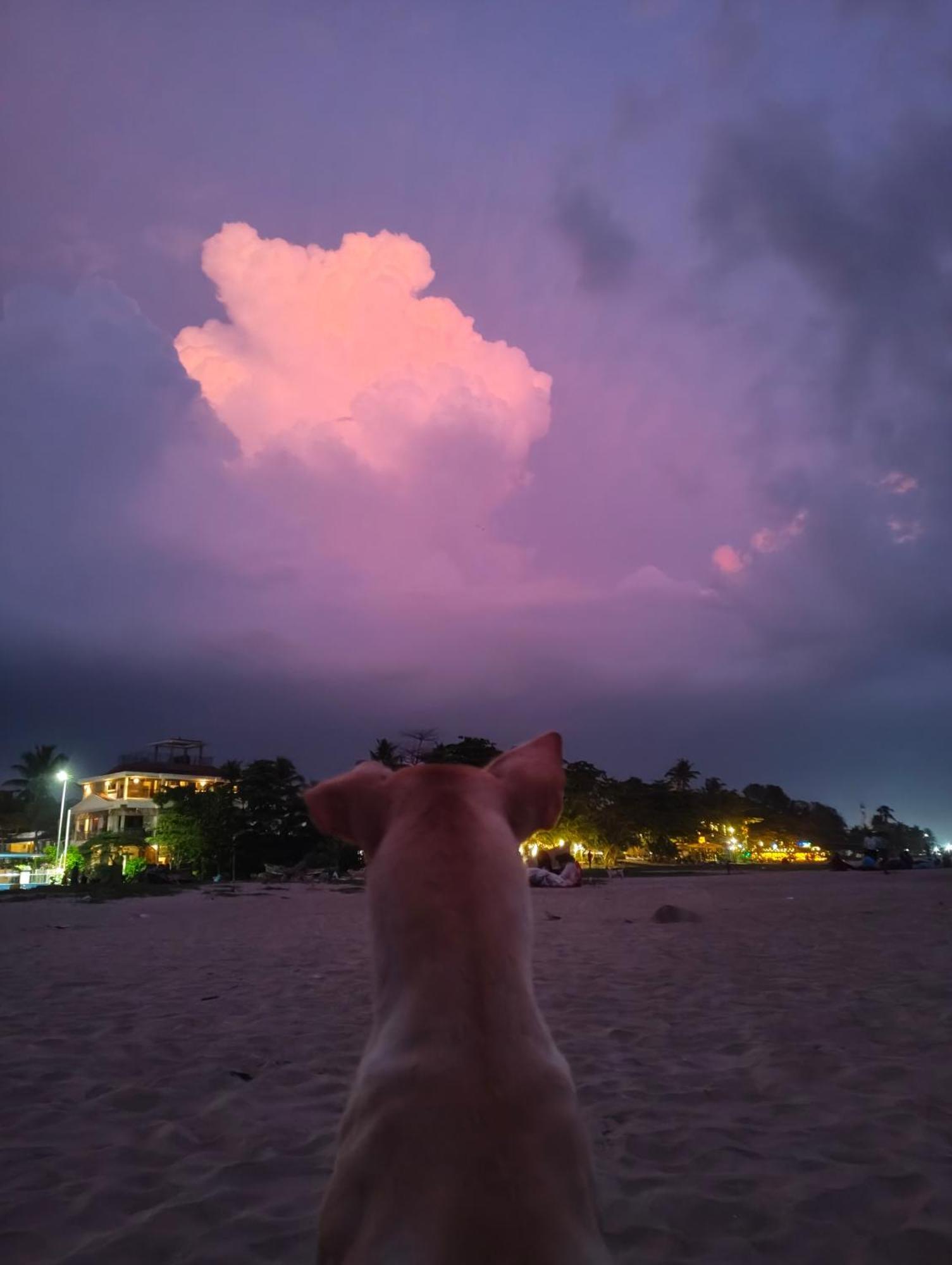 Jeehaa Homestay アーラップーザ県 エクステリア 写真